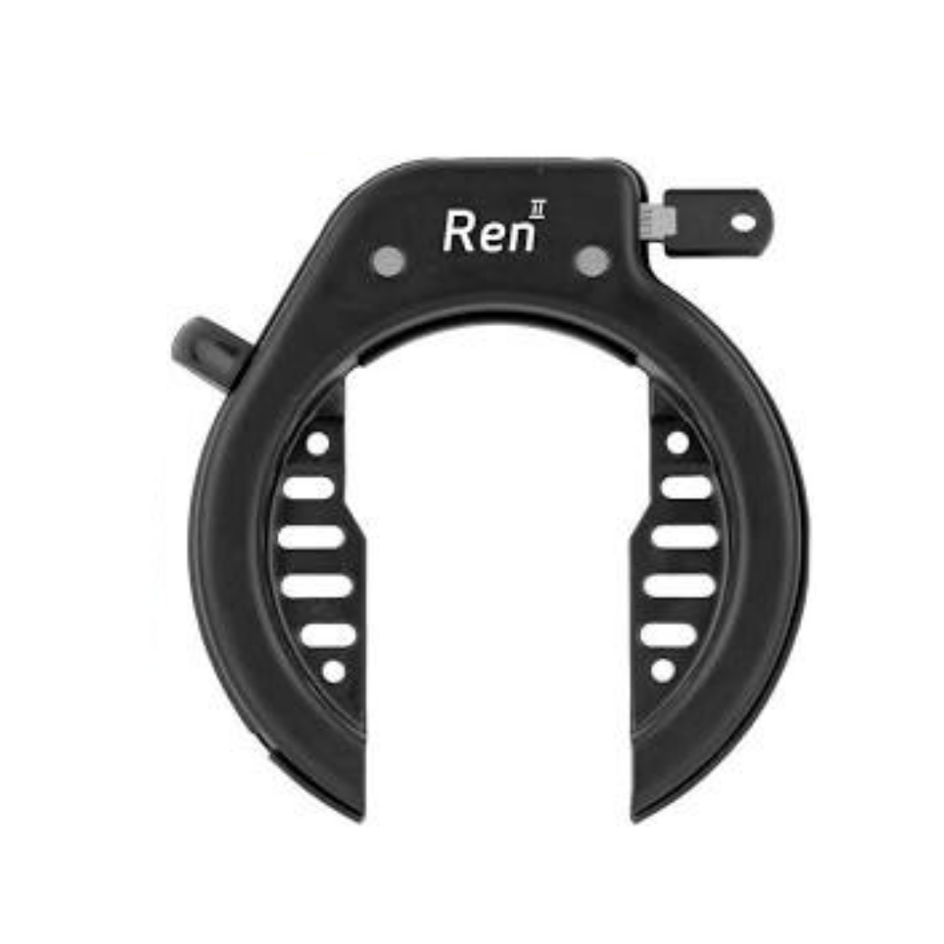 BD1001A Axa REN 2