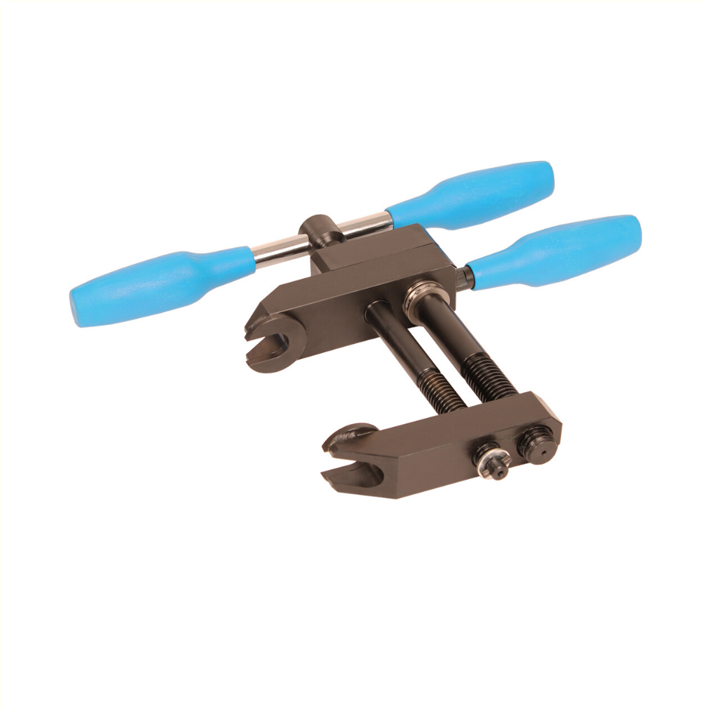 RB0803A Cyclus trapaspers oa gazelle