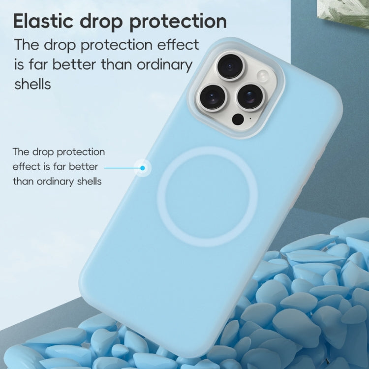 Jelly Liquid Silicone MagSafe Magnetic Phone Case, For iPhone 11, For iPhone 11 Pro