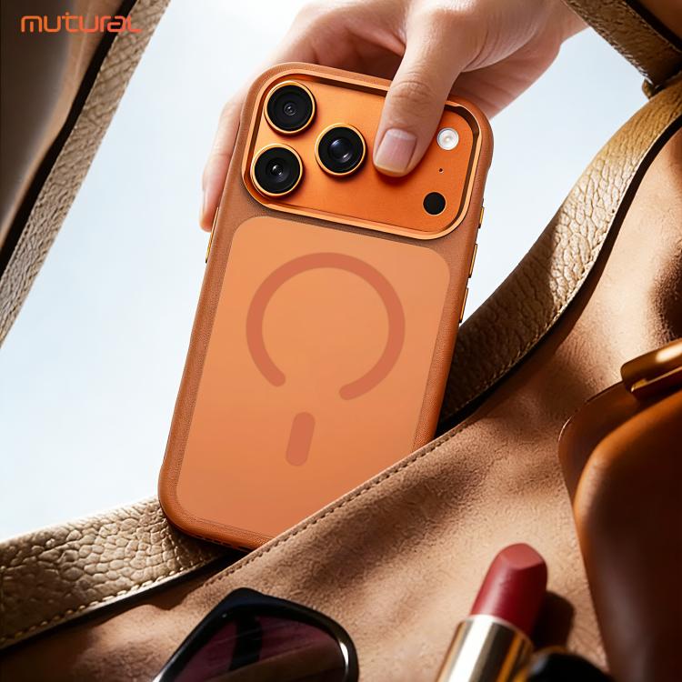 EDA0093496_B7.jpg@1eeb6d17dd6196c4efe6e699df8369ca