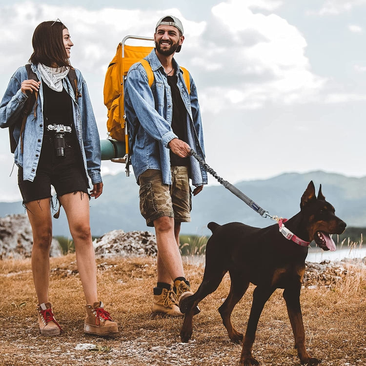 For AirTag Tracker Silicone Sleeve Medium Dog Collar Nylon Reflective Anti-Tangle Pet Collar, M, L