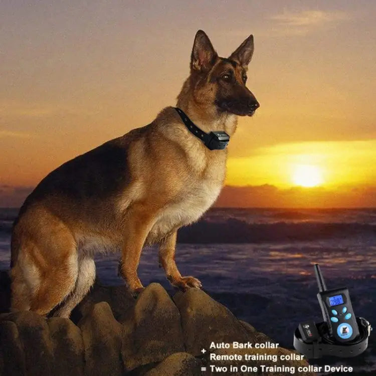 Automatic Anti Barking Collar Pet Training Control System + Electric Shock PU Leather Collar for Dogs PD520 - PD520