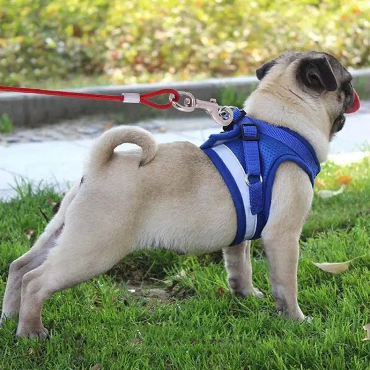 Double-end Steel Wire Rope Pet Dogs 2 in 1 Traction Rope Pet Walking Leads With Handle Length: 10m,Random Color