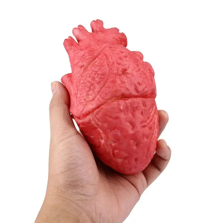 Popular Funny Halloween Props Fake Heart Fake Heart - Fake Heart