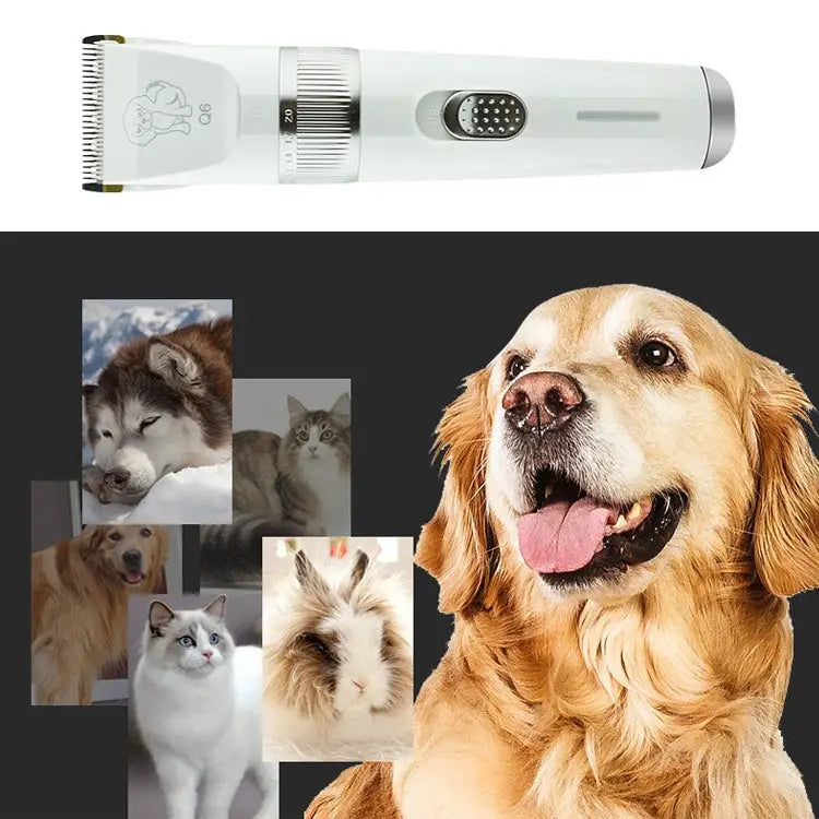 Q6 USB Charging Electric Pet Shaver with Four Combs Q6 Shaver - Q6 Shaver