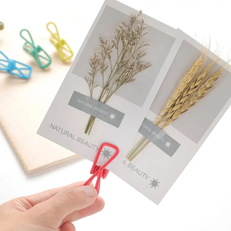 10 PCS Multipurpose Home Decor Clothe Photo Hanging Peg Clamps Random Color Delivery Hanging Peg Clamps - Hanging Peg