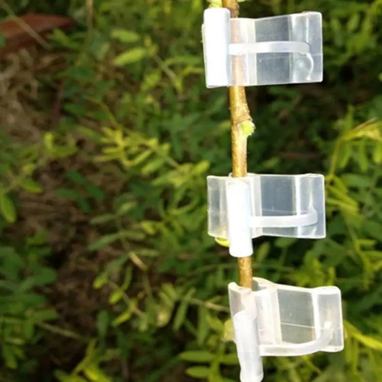 100 PCS Plant Grafting Gardening Plastic Grafting Folder Grafting Clip Transparent Gardening Plastic Grafting Clip