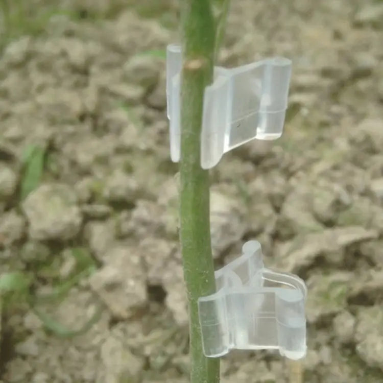 100 PCS Plant Grafting Gardening Plastic Grafting Folder Grafting Clip Transparent Gardening Plastic Grafting Clip