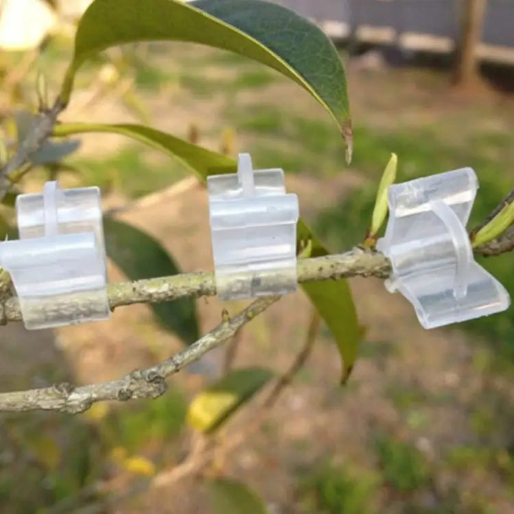 100 PCS Plant Grafting Gardening Plastic Grafting Folder Grafting Clip Transparent Gardening Plastic Grafting Clip