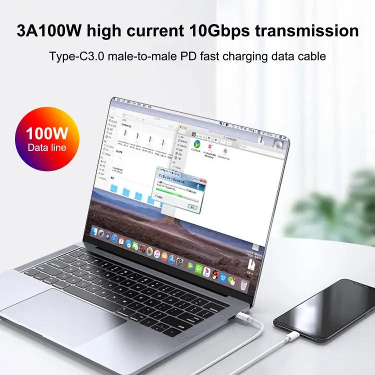 100W USB-C / Type-C to Type-C Fast Charging Data Cable Length: 1m - 1m Type-C to Type-C