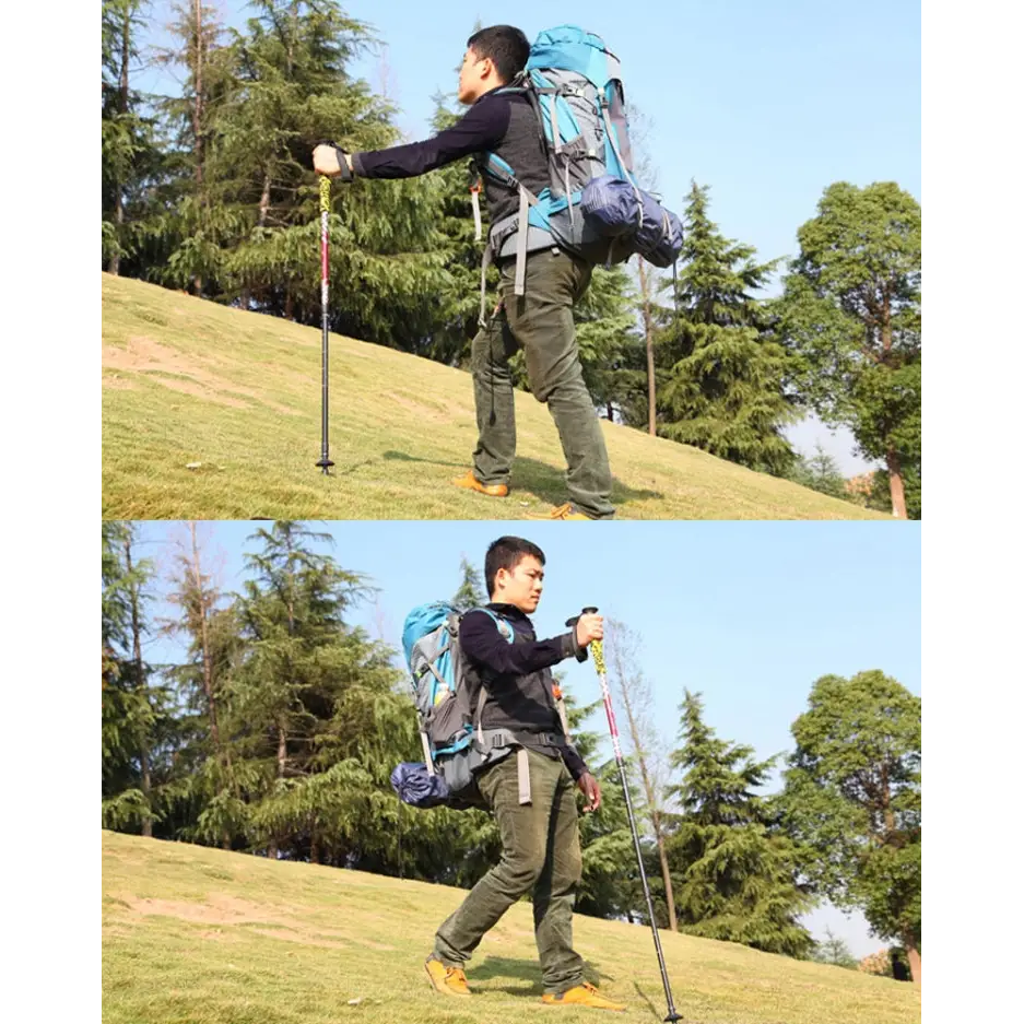 YT000012AC_7.jpg@05ea364b71e5aa018f5363c074483f06