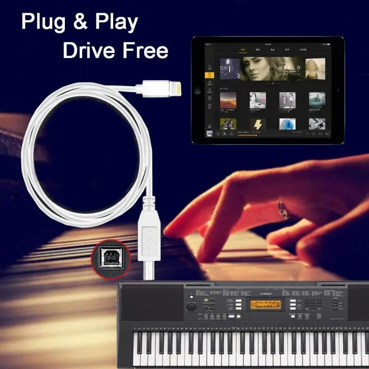 1m 8 Pin to Type-B Male Piano / Electronic Piano Cable MIDI Cable Adapter - 8 Pin