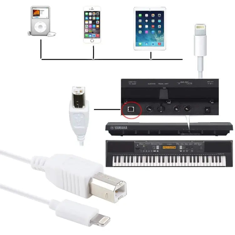 1m 8 Pin to Type-B Male Piano / Electronic Piano Cable MIDI Cable Adapter - 8 Pin