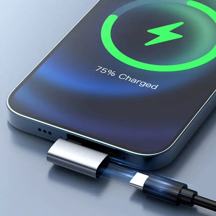 60W USB to USB-C/Type-C Female Charging Transfer Adapter USB to Type-C - USB to Type-C - Apple Accessories