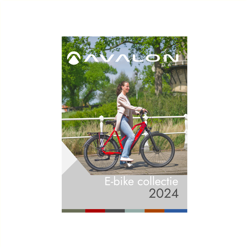 QC1106A Folder Ebike