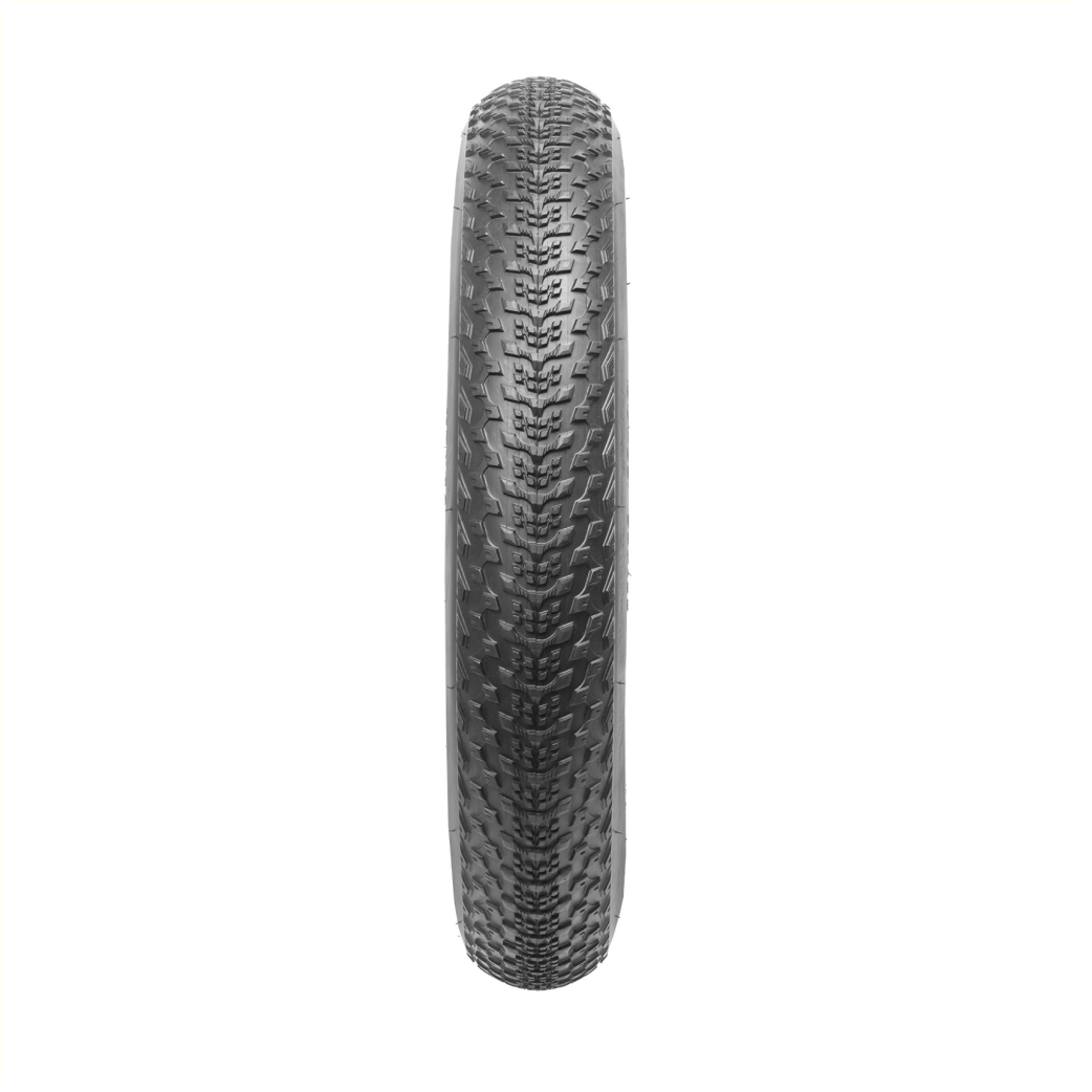 EA0302B Kenda Gigas 26x4.00"