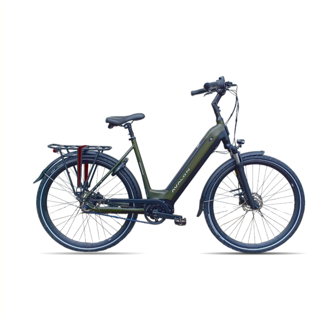 E-Pro+ 49cm dames Mosgroen