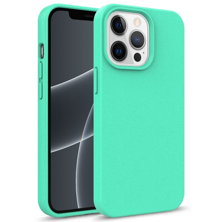 Starry Series Shockproof Straw Material + TPU Protective Case, For iPhone 13 mini, For iPhone 13 Pro Max, For iPhone 13 Pro