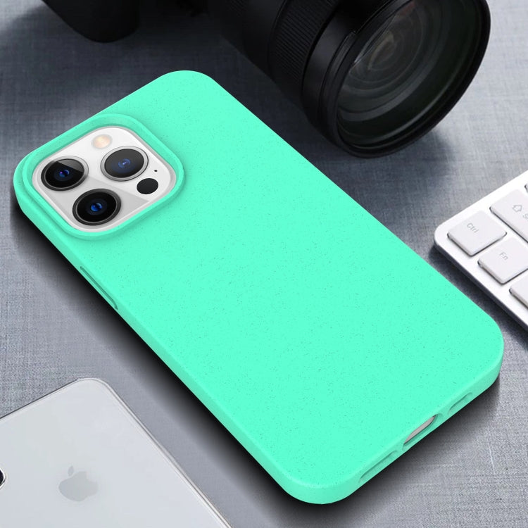 Starry Series Shockproof Straw Material + TPU Protective Case, For iPhone 13