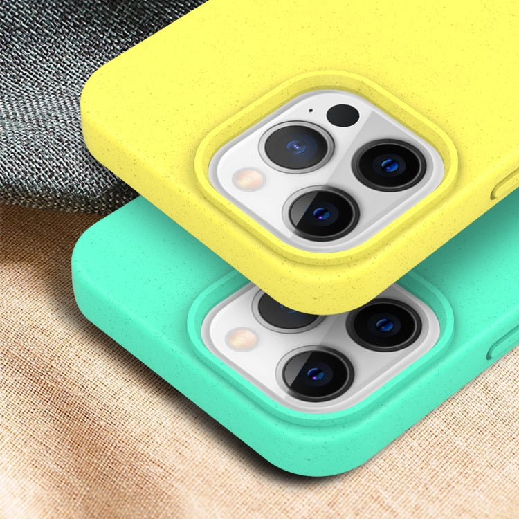 Starry Series Shockproof Straw Material + TPU Protective Case, For iPhone 13 mini, For iPhone 13 Pro Max, For iPhone 13 Pro