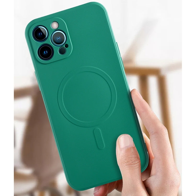 Liquid Silicone Full Coverage Magsafe Phone Case, For iPhone 12 mini, For iPhone 12, For iPhone 12 Pro