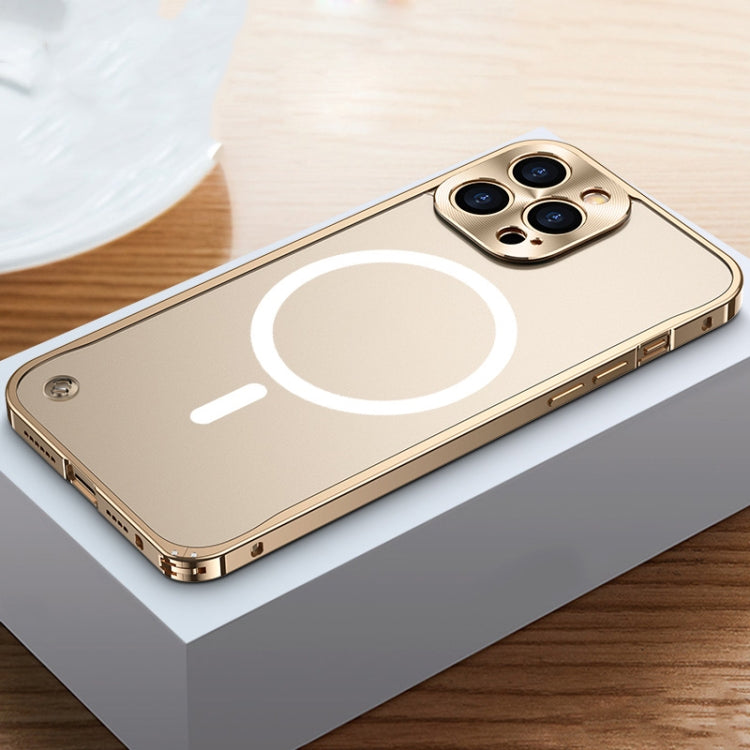 MagSafe Magnetic Frosted Case, For iPhone 12 mini, For iPhone 12, For iPhone 12 Pro, For iPhone 12 Pro Max, For iPhone 13 mini, For iPhone 13