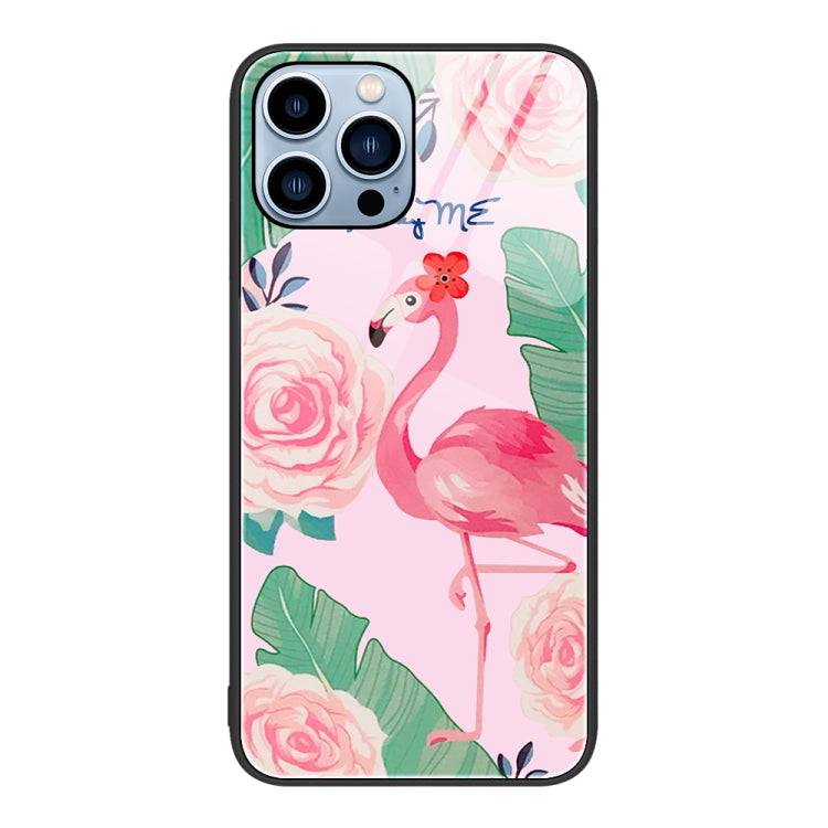 Colorful Painted Glass Phone Case, For iPhone 13 Pro