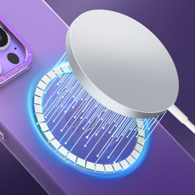 Magsafe Magnetic Crystal Frosted Series Phone Case, For iPhone 13 Pro Max, For iPhone 12, For iPhone 12 Pro, For iPhone 12 Pro Max, For iPhone 11 Pro, For iPhone 11 Pro Max
