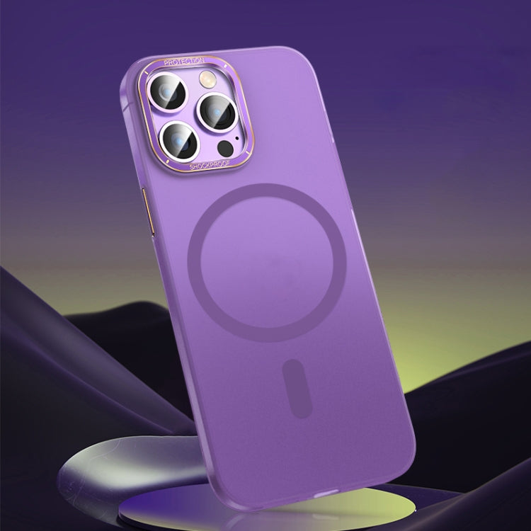 Magsafe Magnetic Crystal Frosted Series Phone Case, For iPhone 13 Pro Max, For iPhone 12, For iPhone 12 Pro, For iPhone 12 Pro Max, For iPhone 11 Pro, For iPhone 11 Pro Max