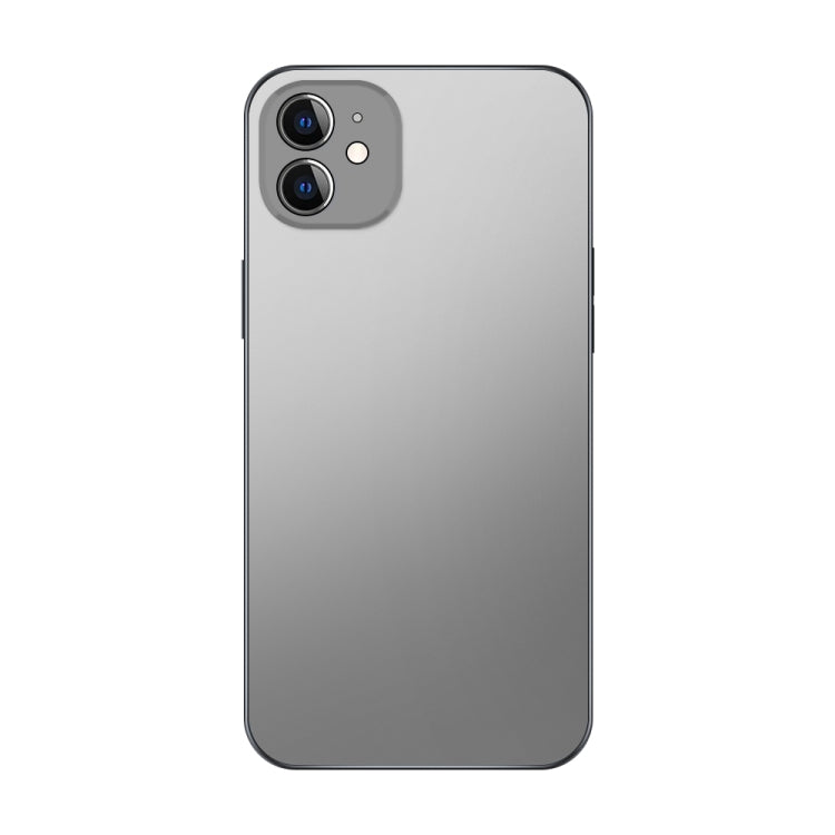 Electroplating AG Frosted Phone Case, For iPhone 12 Pro Max, For iPhone 11, For iPhone 11 Pro