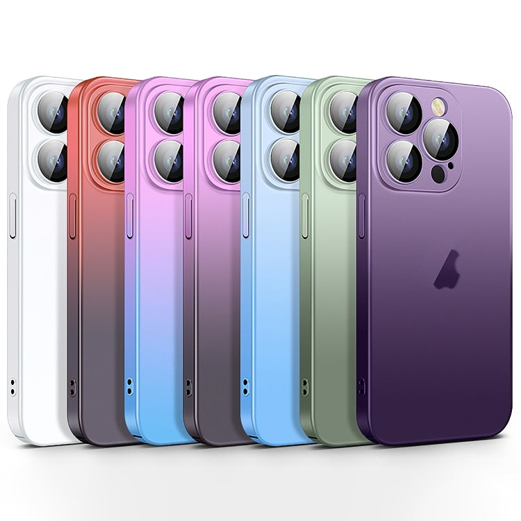 Skin Feel Frosted Gradient Phone Case, For iPhone 12