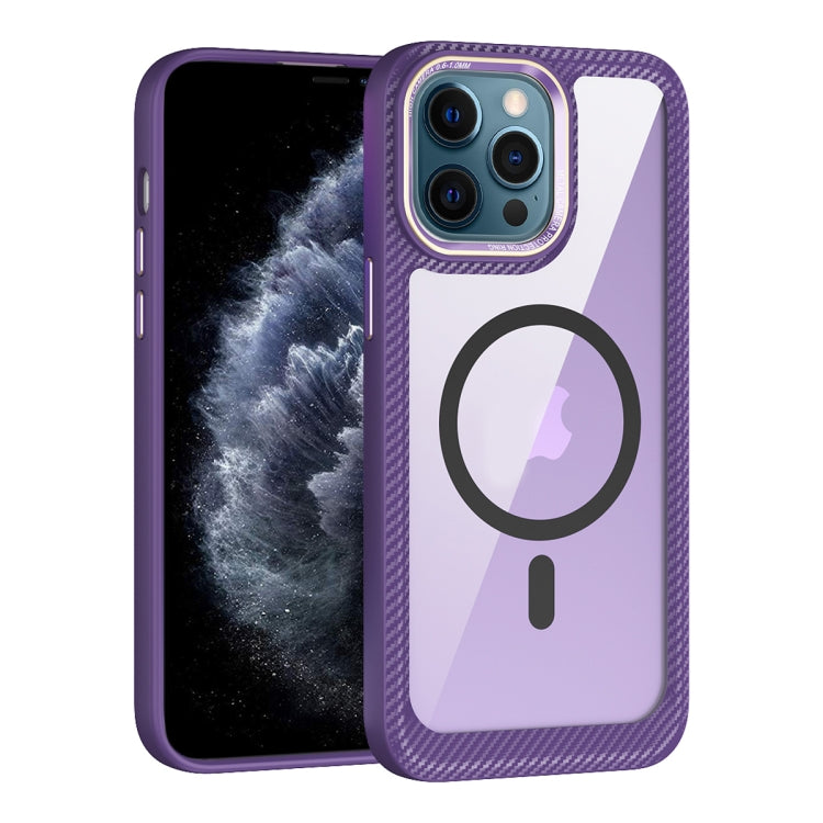 MagSafe Carbon Fiber Transparent Back Panel Phone Case, For iPhone 12 / 12 Pro, For iPhone 12 Pro Max, For iPhone 11 Pro Max