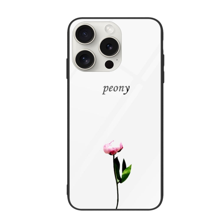 Colorful Painted Glass Phone Case, For iPhone 16 Pro