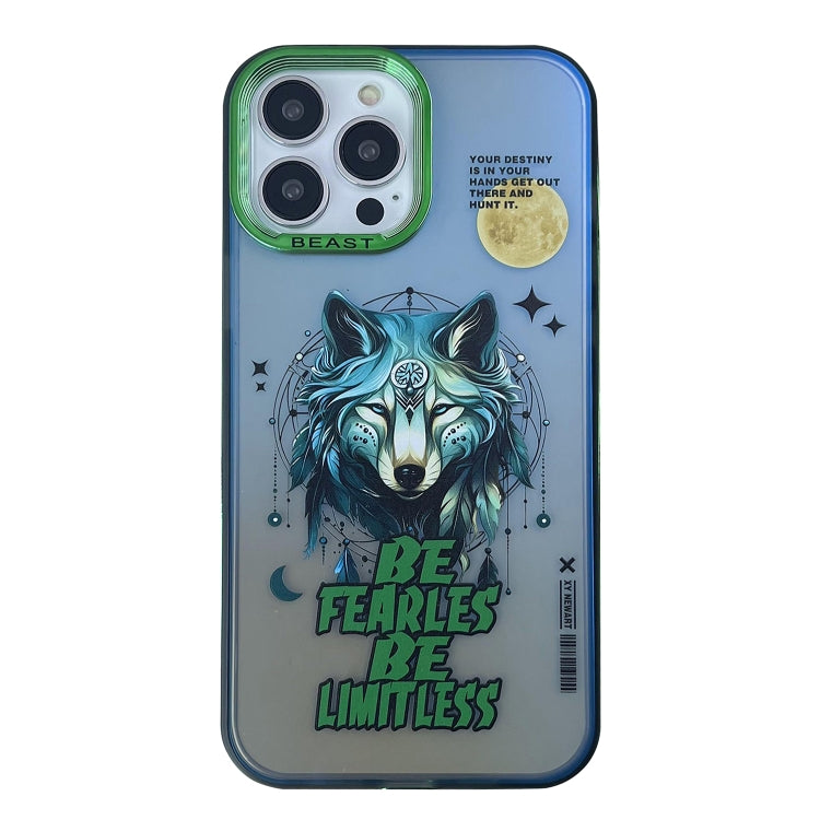 Aurora Series Painted Pattern Phone Case, For iPhone 14, For iPhone 15 Pro Max, For iPhone 15 Pro, For iPhone 14 Pro