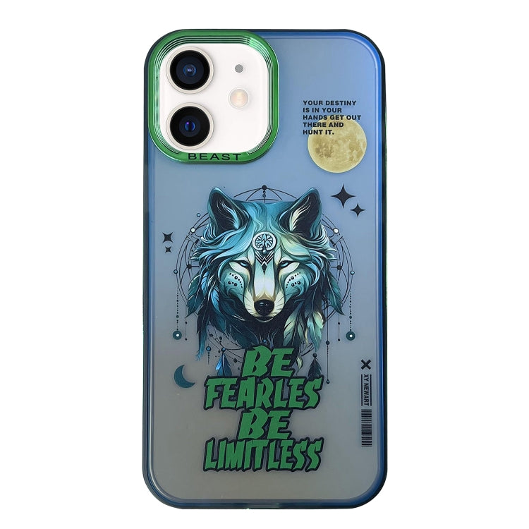 Aurora Series Painted Pattern Phone Case, For iPhone 13, For iPhone 12, For iPhone 12 Pro Max, For iPhone 12 Pro