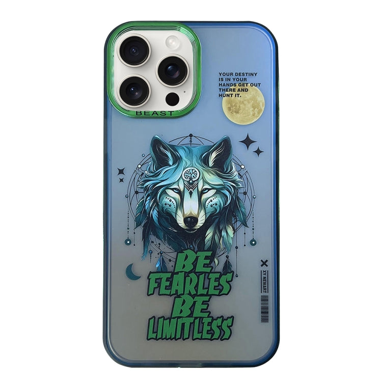 Aurora Series Painted Pattern Phone Case, For iPhone 14, For iPhone 15 Pro Max, For iPhone 15 Pro, For iPhone 14 Pro