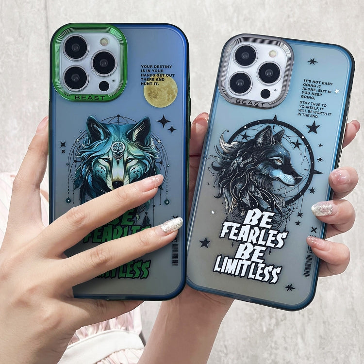 Aurora Series Painted Pattern Phone Case, For iPhone 14, For iPhone 15 Pro Max, For iPhone 15 Pro, For iPhone 14 Pro