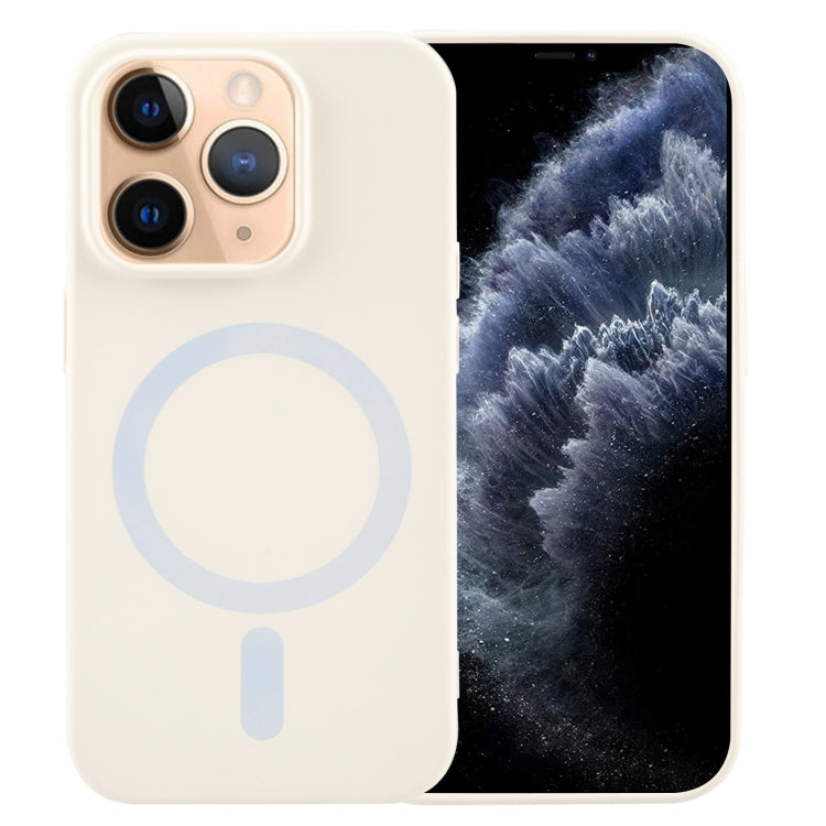 MagSafe Liquid Silicone Phone Case, For iPhone 13, For iPhone 12, For iPhone 12 Pro Max, For iPhone 12 Pro, For iPhone 11 Pro Max, For iPhone 11