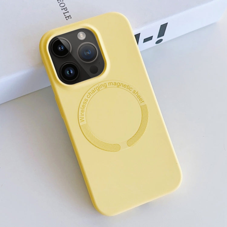 MagSafe Magnetic Liquid Silicone Phone Case, For iPhone 13 Pro Max, For iPhone 13 Pro