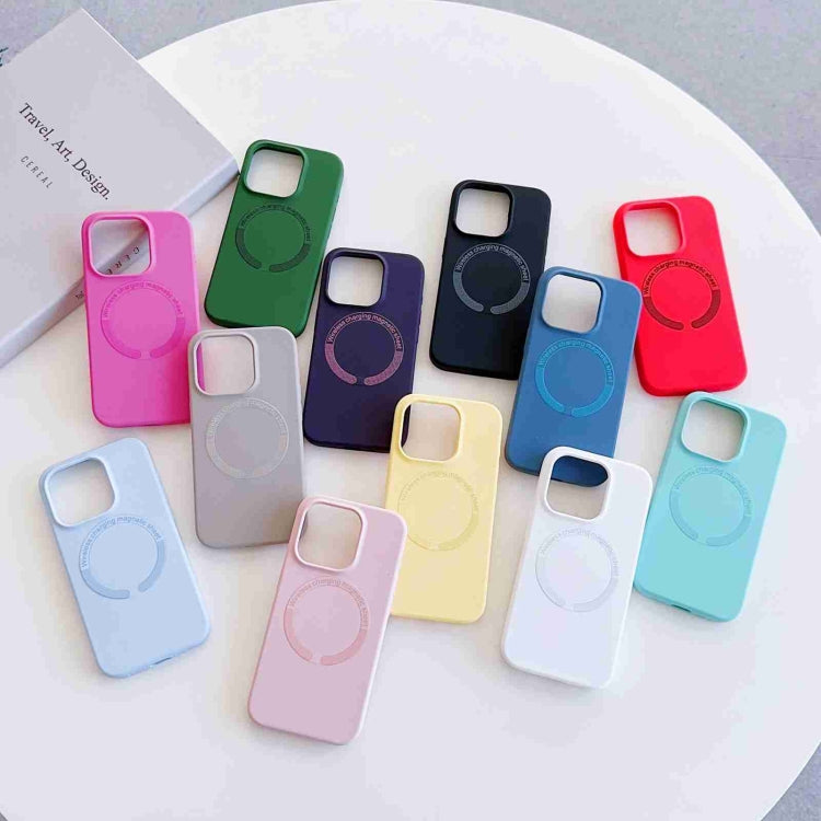MagSafe Magnetic Liquid Silicone Phone Case, For iPhone 12 Pro Max, For iPhone 12 Pro