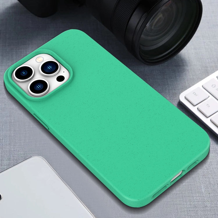 Wheat Straw TPU Phone Case, For iPhone 17e / 16e, For iPhone 17 Pro, For iPhone 16 Pro Max