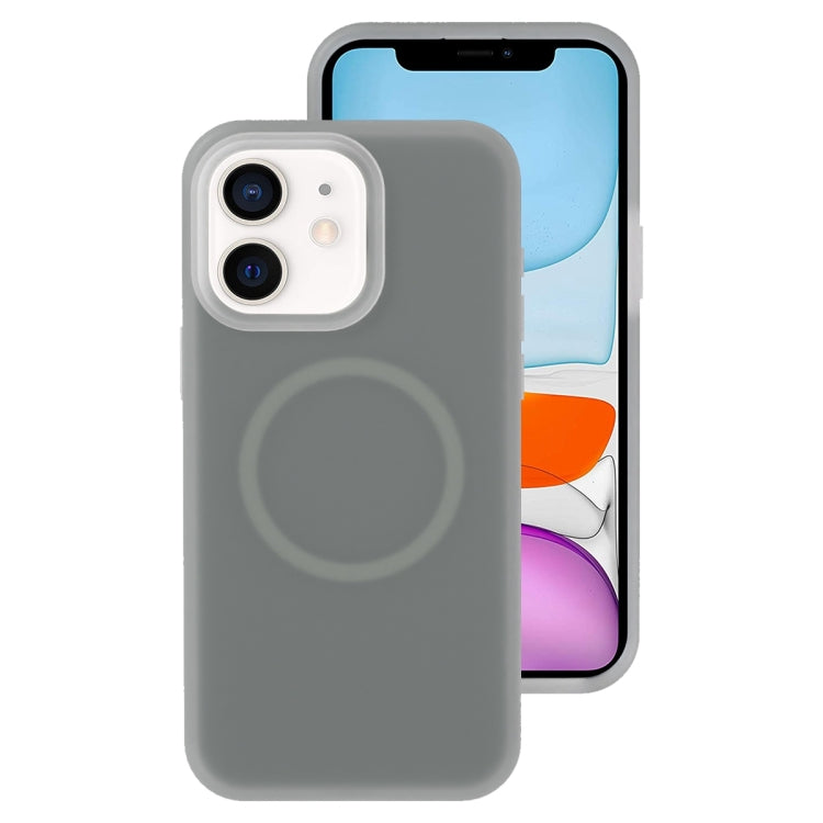 Jelly Liquid Silicone MagSafe Magnetic Phone Case, For iPhone 11, For iPhone 11 Pro
