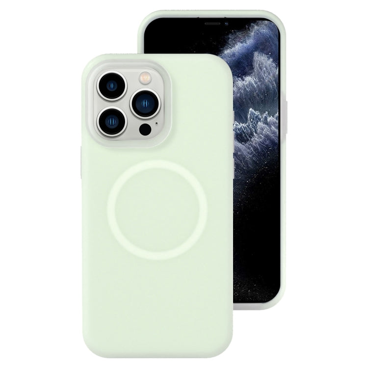 Jelly Liquid Silicone MagSafe Magnetic Phone Case, For iPhone 11, For iPhone 11 Pro