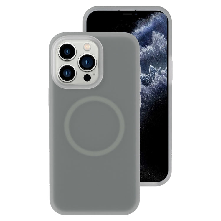 Jelly Liquid Silicone MagSafe Magnetic Phone Case, For iPhone 11, For iPhone 11 Pro