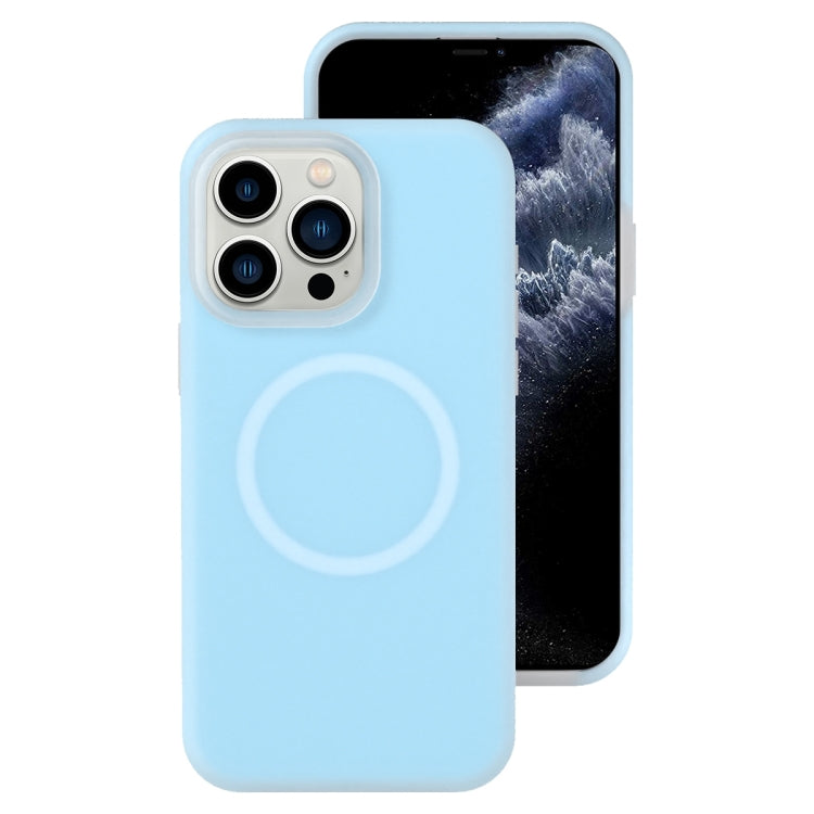 Jelly Liquid Silicone MagSafe Magnetic Phone Case, For iPhone 11, For iPhone 11 Pro