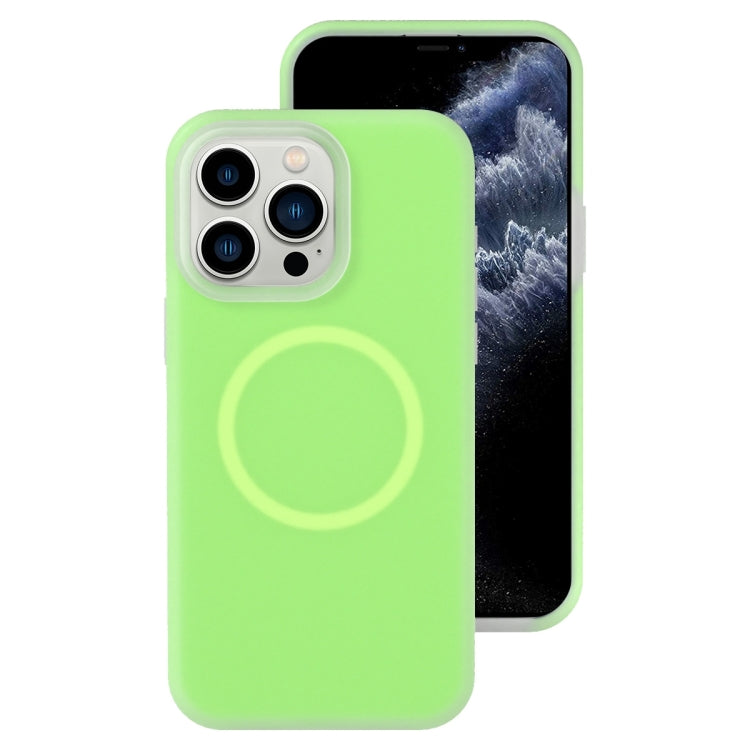 Jelly Liquid Silicone MagSafe Magnetic Phone Case, For iPhone 11, For iPhone 11 Pro