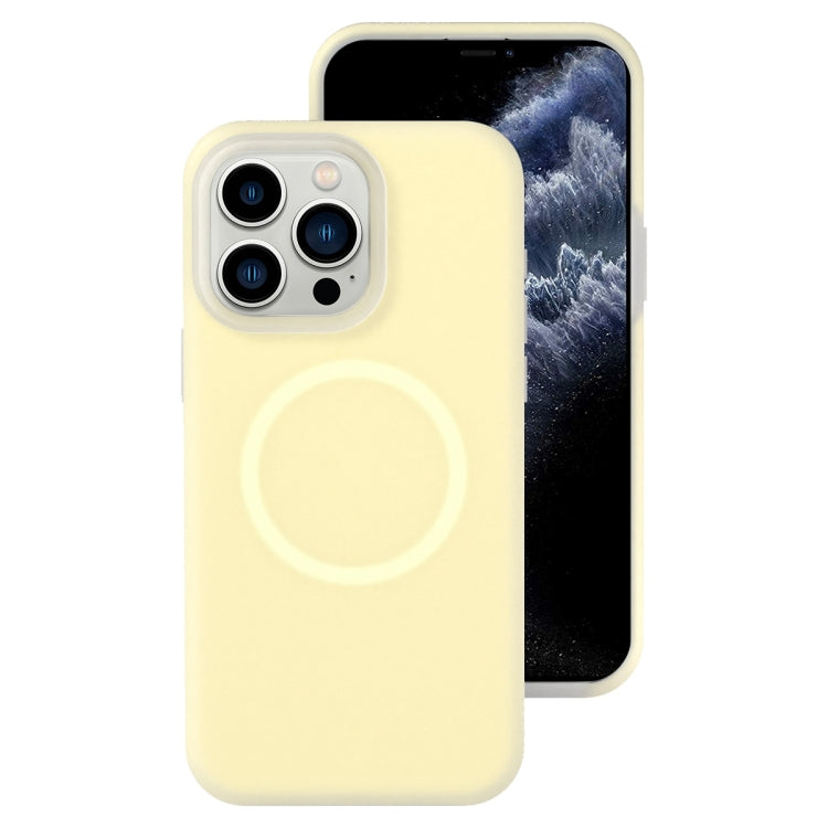 Jelly Liquid Silicone MagSafe Magnetic Phone Case, For iPhone 11, For iPhone 11 Pro
