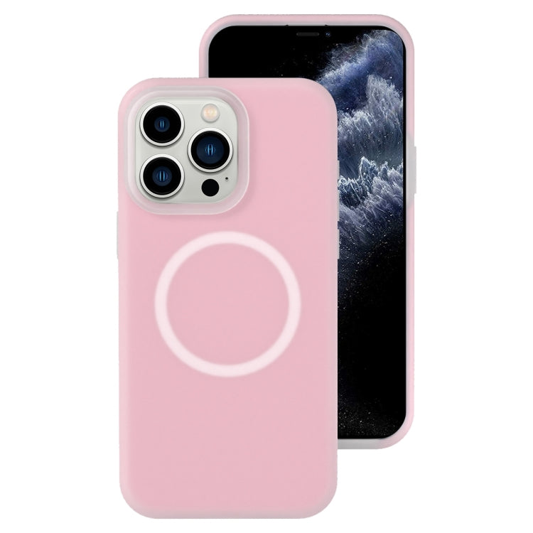 Jelly Liquid Silicone MagSafe Magnetic Phone Case, For iPhone 11, For iPhone 11 Pro