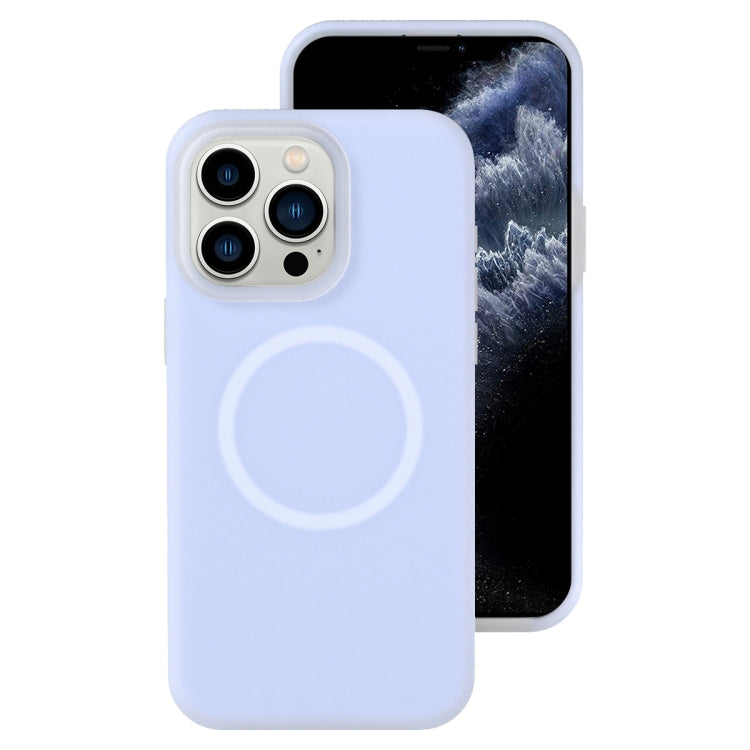 Jelly Liquid Silicone MagSafe Magnetic Phone Case, For iPhone 11, For iPhone 11 Pro