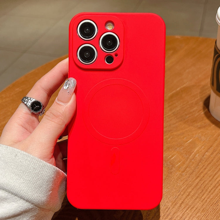 Solid Color Liquid Silicone MagSafe Magnetic Phone Case, For iPhone 12 Pro